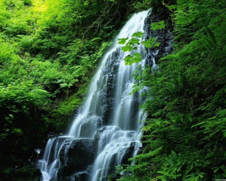 德州市陵城区糜镇提升网格管理水平,构建基层治理新格局